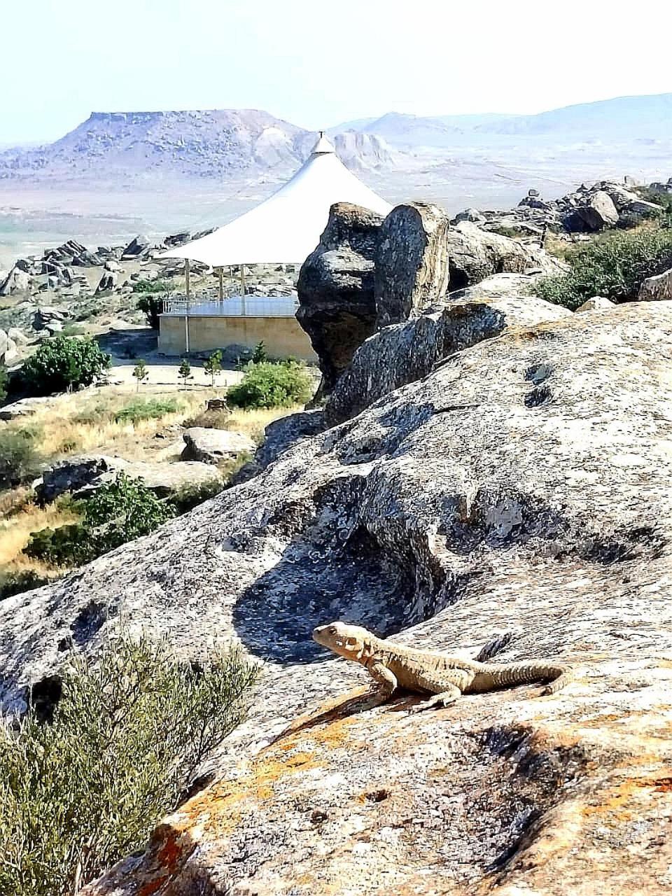 Baku "Black Mountain" Guest House Sangachal Exterior foto